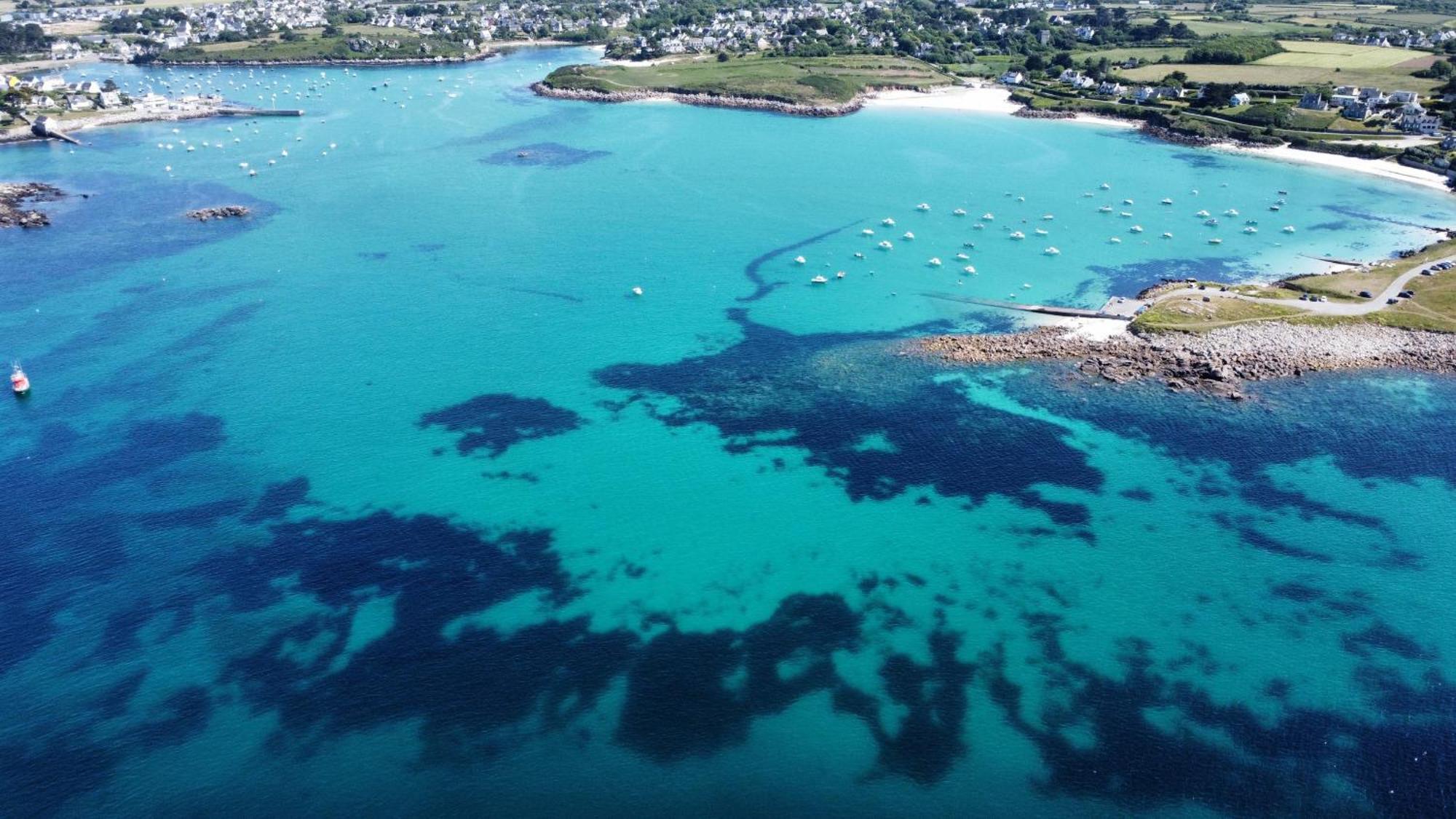 Roscaroc Enez Hir - Charmant T4 Proche Plage Ploudalmezeau Екстер'єр фото